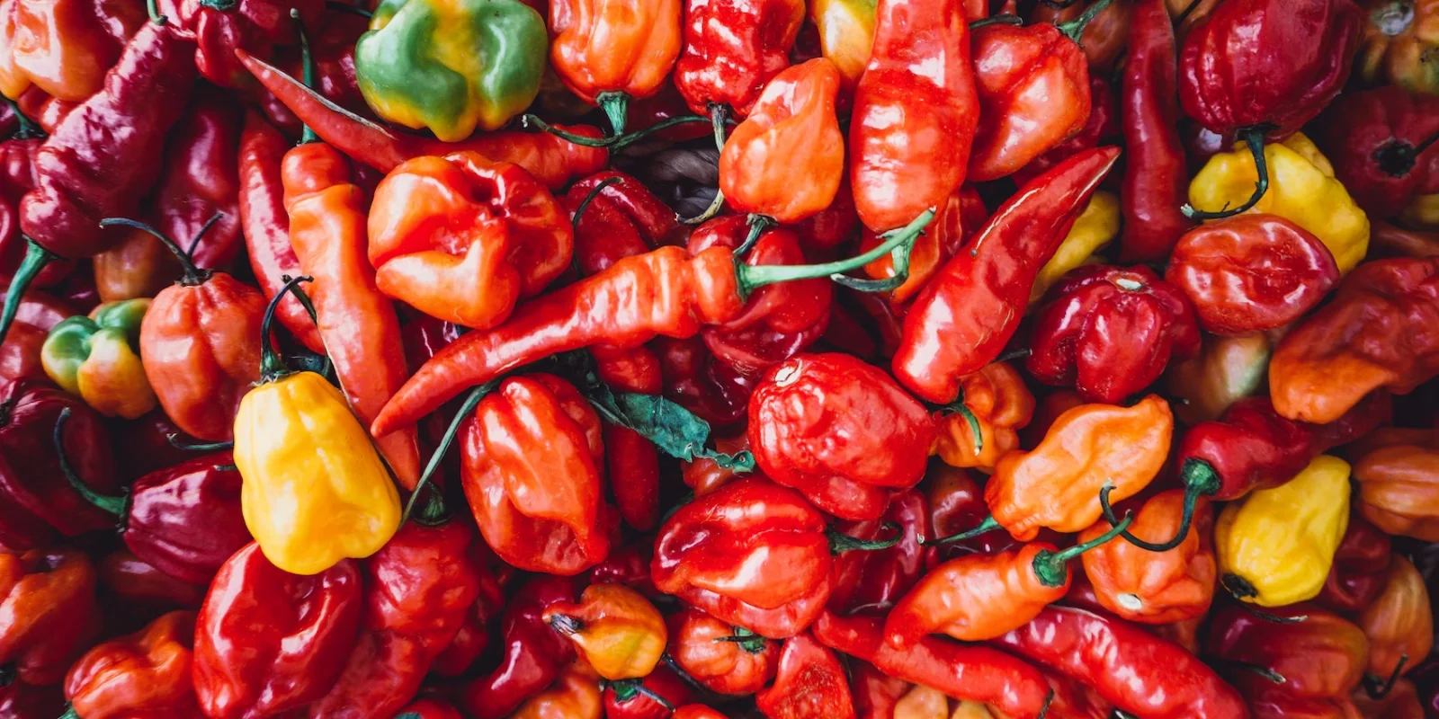 A selection of seasonal chillies