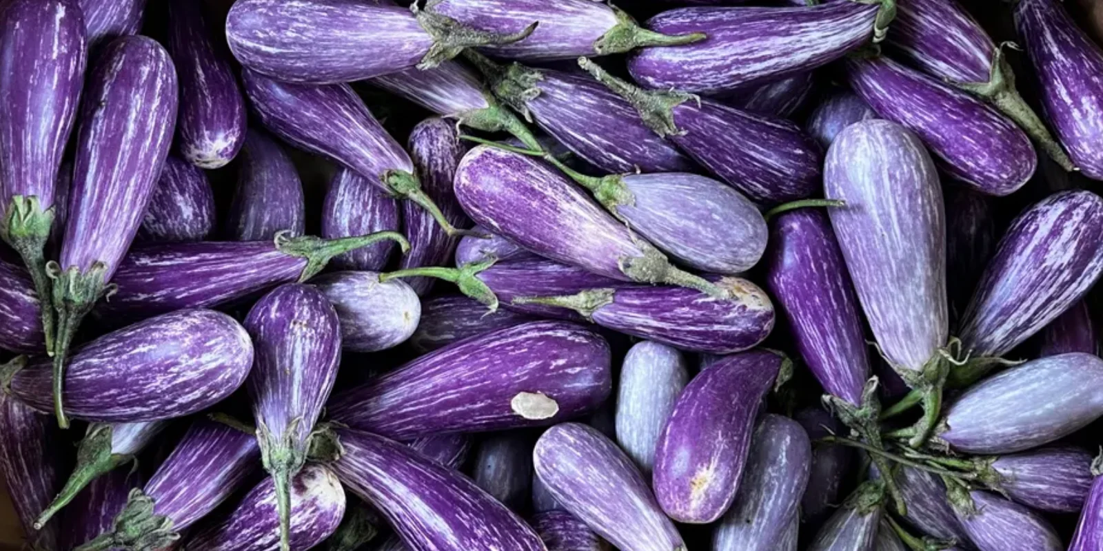 Box of uniquely coloured in season eggplants