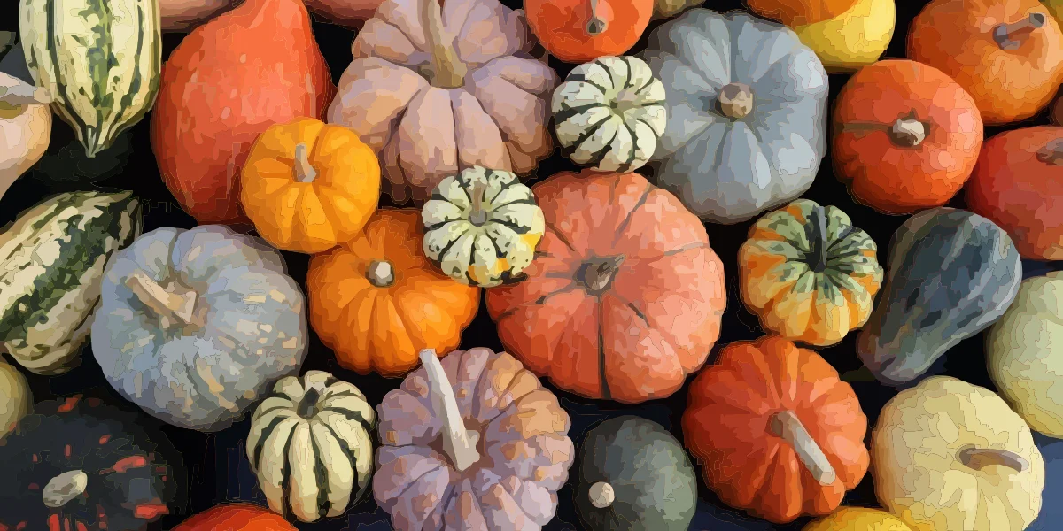 Autumn vegetables featuring varieties of pumpkins